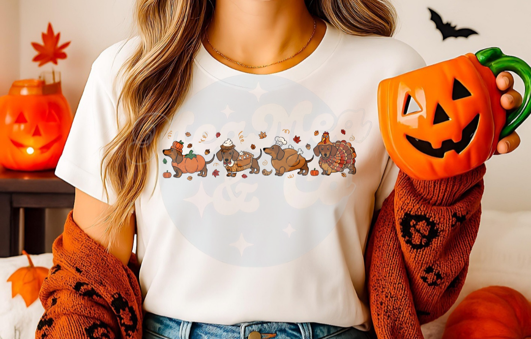 Thankful Dachshunds